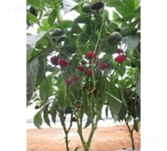 ��������-�����N��-�V��