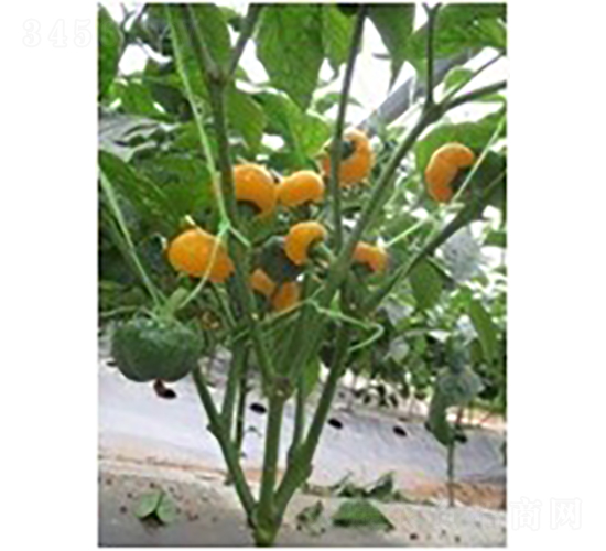 ��������-�����N��-�V��