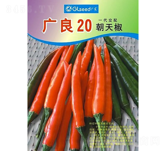 �V��20���콷-�����N��-�V��