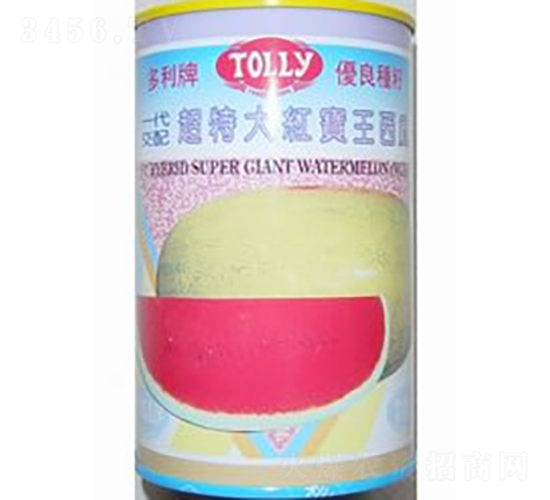 ���ش�t��������-���ϷN��-�V��