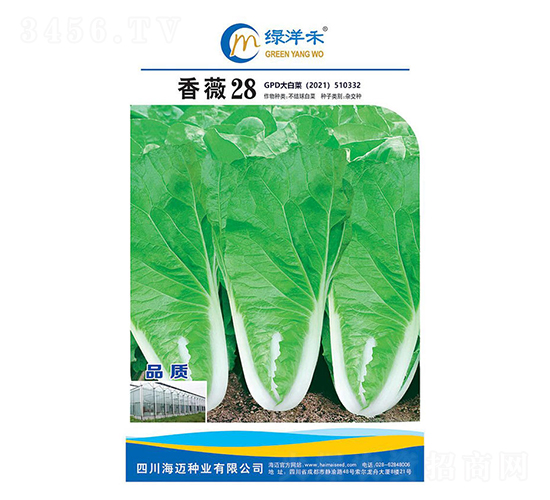 ��ޱ28-�ײ˷N��-�G���