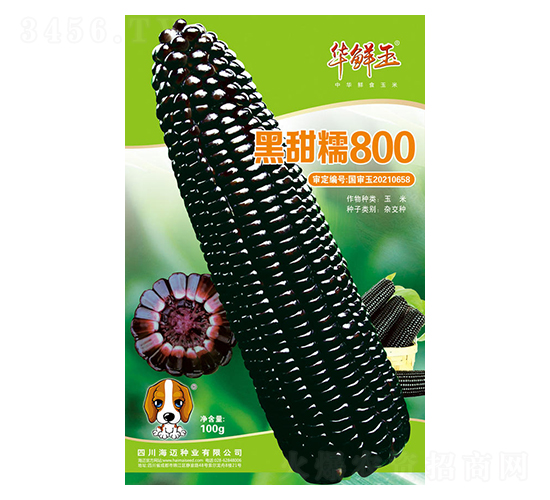 ����Ŵ800-���׷N��-�A�r��-���~���H