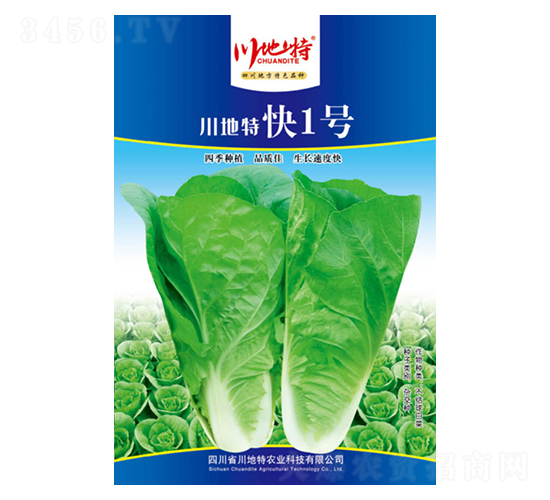 �����ؿ�1̖-�ײ˷N��-������