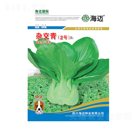 �s����2̖-С��˷N��-���~���H