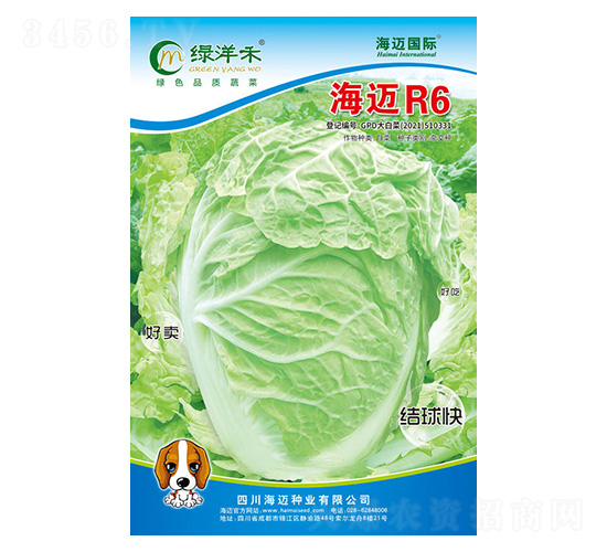 ���~R6-��ײ˷N��-���~���H