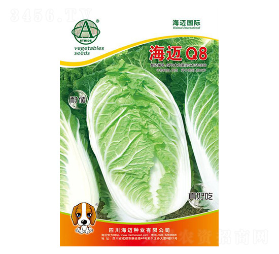 ���~Q8-��ײ˷N��-���~���H