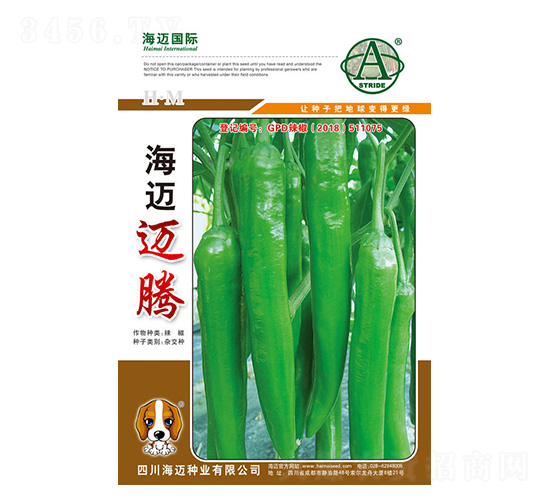 ���~�~�v-�����N��-���~���H