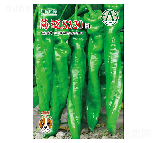 ���~S320-�����N��-���~���H