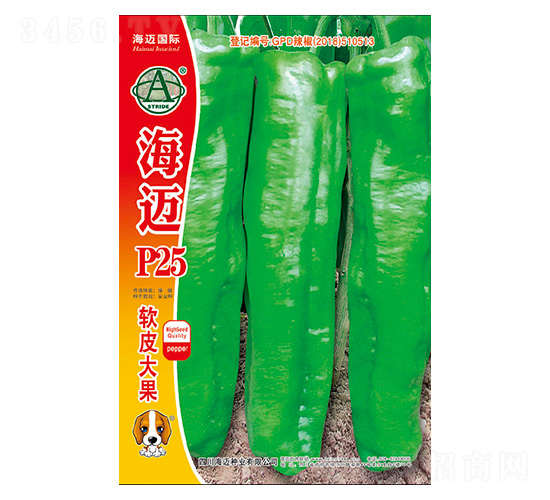 ���~P25-�����N��-���~��(gu��)�H