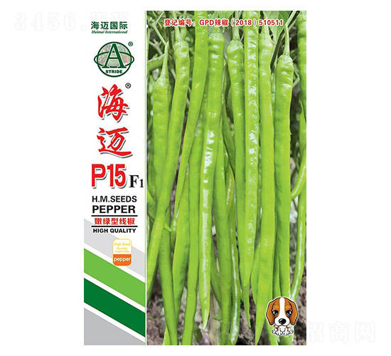 ���~P15-�����N��-���~���H