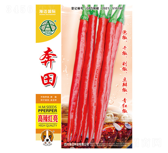 ����-�����N��-���~���H