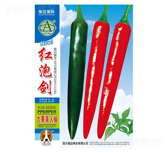 �t�݄�-�����N��-���~���H