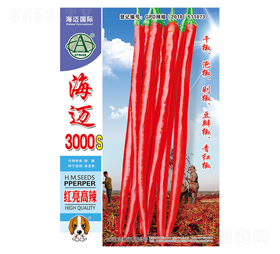 ���~3000S-�����N��-���~��(gu��)�H