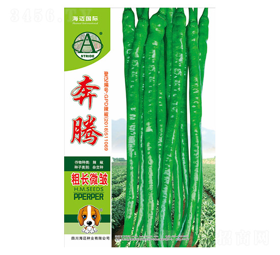 ���v-�����N��-���~��(gu��)�H