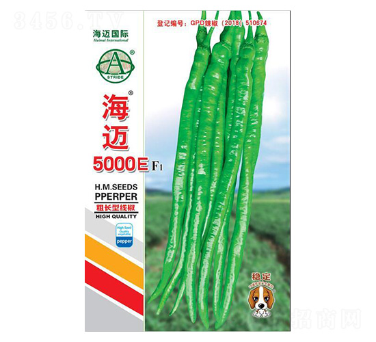 ���~5000E-�����N��-���~���H