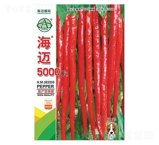 ���~5000-�����N��-���~���H