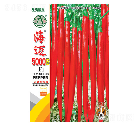 ���~5000B-�����N��-���~���H