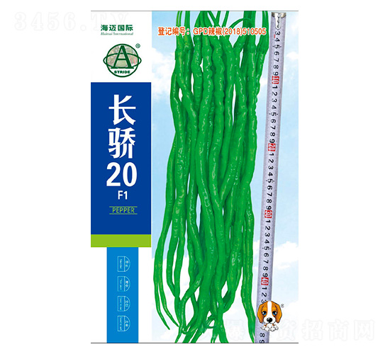 �L(zh��ng)�20-�����N��-���~��(gu��)�H