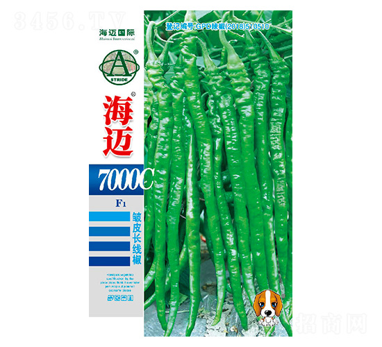 ���~7000C-�����N��-���~���H