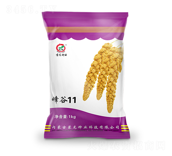 ���11-���ӷN��-�����N�I(y��)