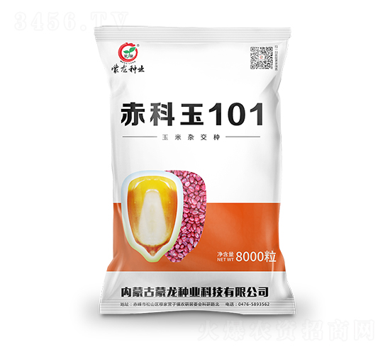 �����101-���׷N��-�����N�I(y��)