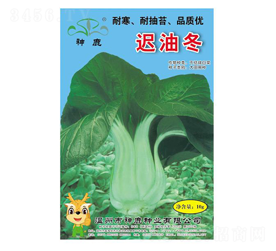 �t�Ͷ�-�๣�˷N��-��¹�N�I(y��)