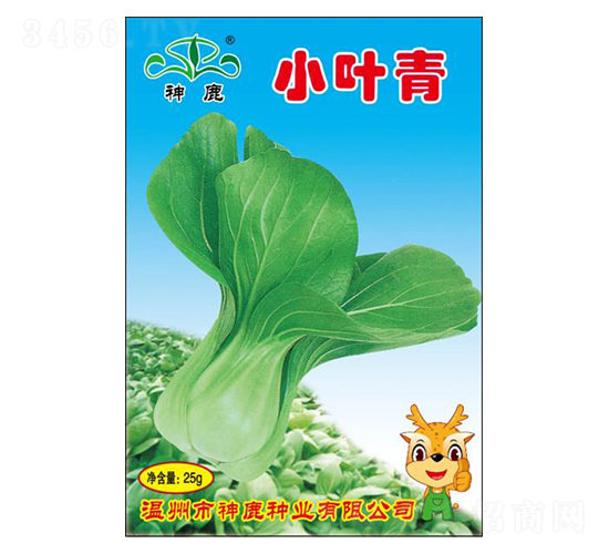 С�~��-�๣�˷N��-��¹�N�I(y��)