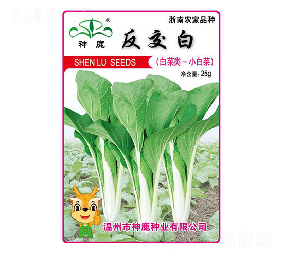 �����װײ˷N��-��¹�N�I(y��)