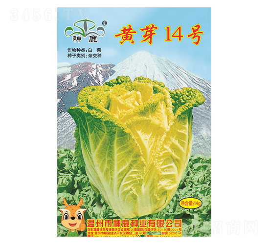 �Sѿ14̖�ײ˷N��-��¹�N�I(y��)