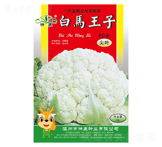 ���R����60��-��Ҭ�˷N��-��¹�N�I(y��)