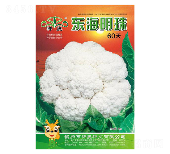 �|������60��-��Ҭ�˷N��-��¹�N�I(y��)