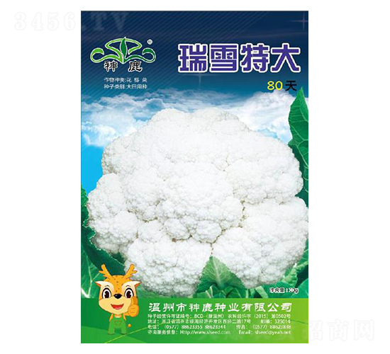 ��ѩ�ش�80��-��Ҭ�˷N��-��¹�N�I(y��)