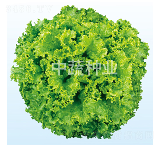 ������-���˷N��-���߷N�I(y��)