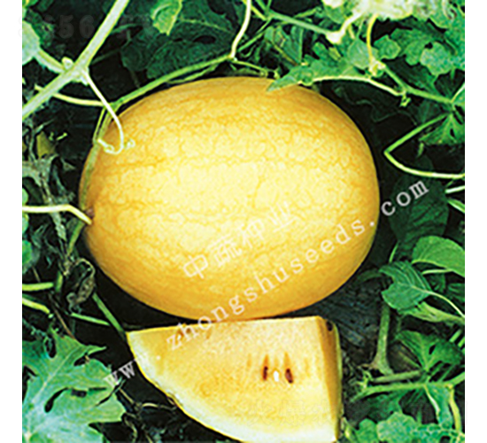 ����2̖(h��o)-��ϷN��-���߷N�I(y��)