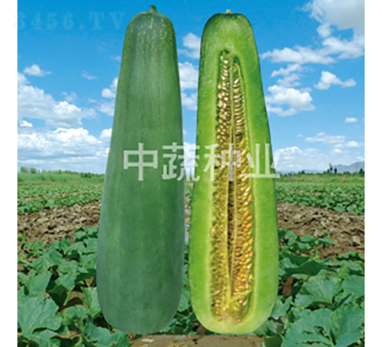 �Gţ-��ϷN��-���߷N�I(y��)