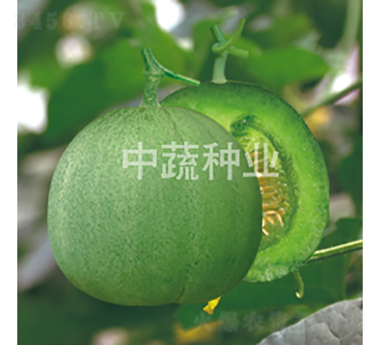 �G��58-��ϷN��-���߷N�I(y��)