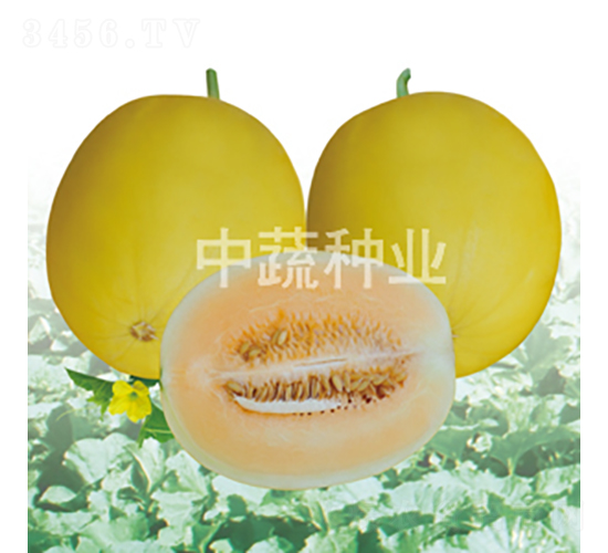 IVF117-��ϷN��-���߷N�I(y��)