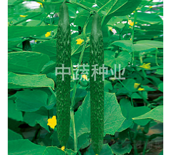 ���r(n��ng)106̖(h��o)-�S�ϷN��-���߷N�I(y��)