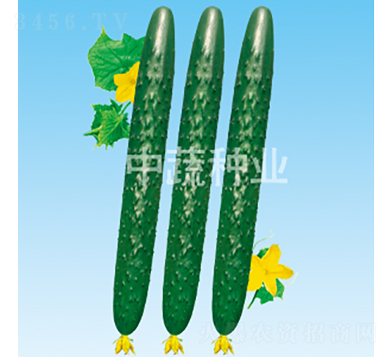 ���r(n��ng)50-�S�ϷN��-���߷N�I(y��)