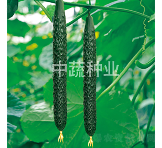 ���r18̖-�S�ϷN��-���߷N�I(y��)