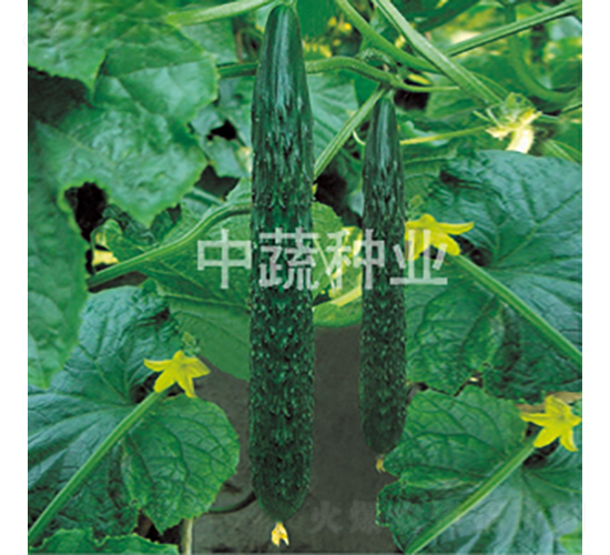 ���r(n��ng)118̖(h��o)-�S�ϷN��-���߷N�I(y��)