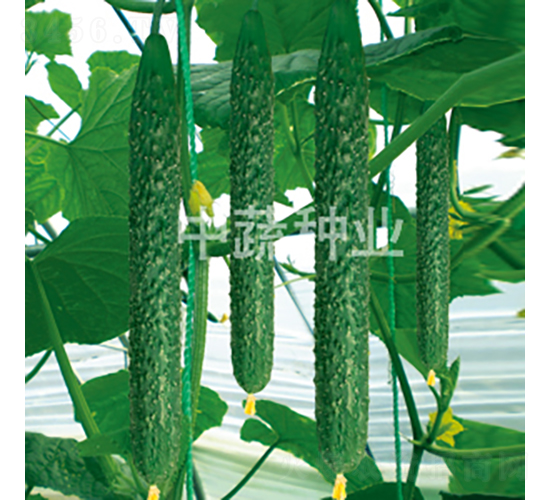 ���r(n��ng)28̖(h��o)-�S�ϷN��-���߷N�I(y��)