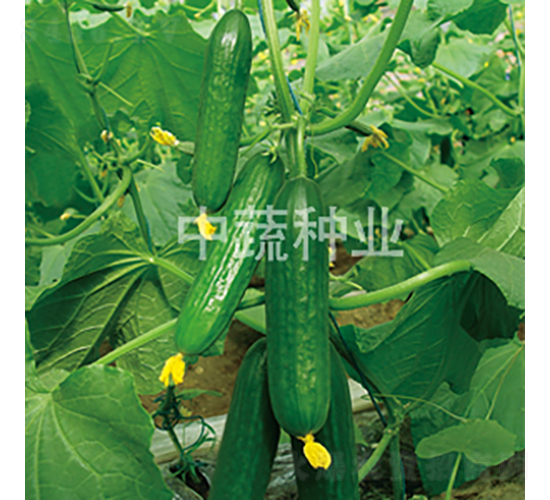 ���r(n��ng)29̖(h��o)-�S�ϷN��-���߷N�I(y��)