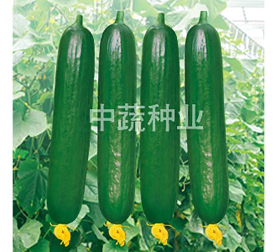 ���r59-�S�ϷN��-���߷N�I(y��)