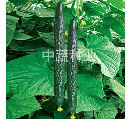 ���x���r(n��ng)8̖-�S�ϷN��-���߷N�I(y��)