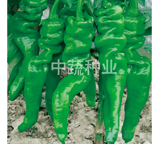 �н�209̖(h��o)-�����N��-���߷N�I(y��)