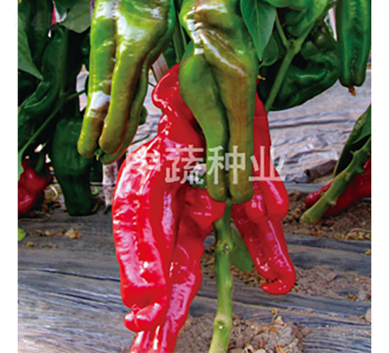 �н�309-�����N��-���߷N�I(y��)