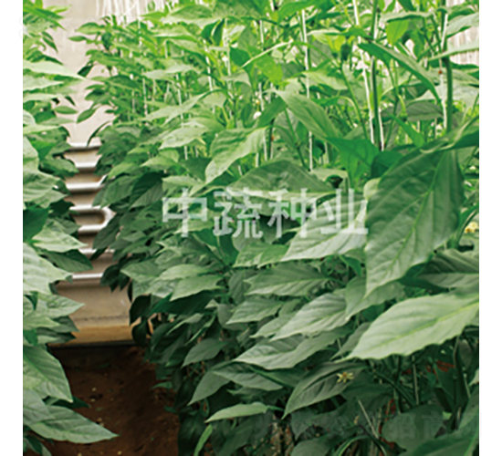 �н��p��101-�����N��-���߷N�I(y��)