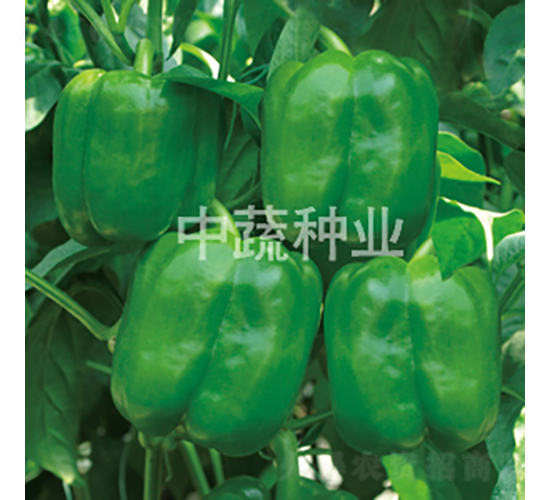 �н�0807-�����N��-���߷N�I(y��)