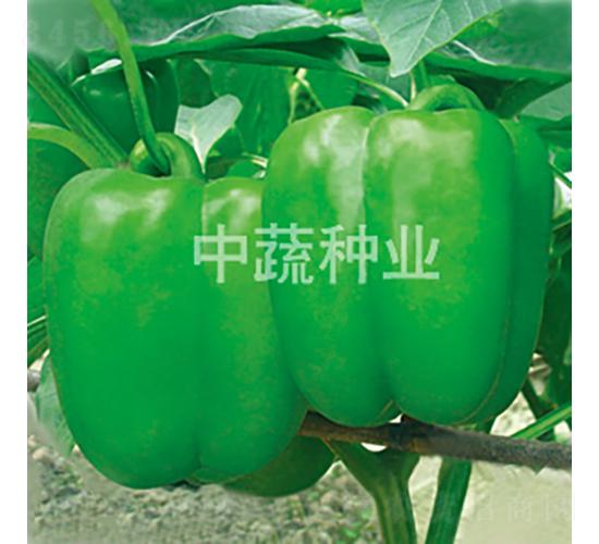 �н�108-�𽷷N��-���߷N�I(y��)